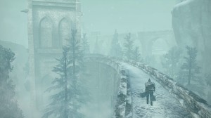 DSII-DLC3-03-Walking_through_the_snow_storm_1410968482